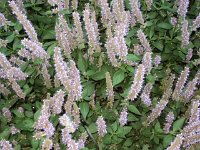 photos 2000-200902748